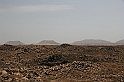 Kanary_2010 121